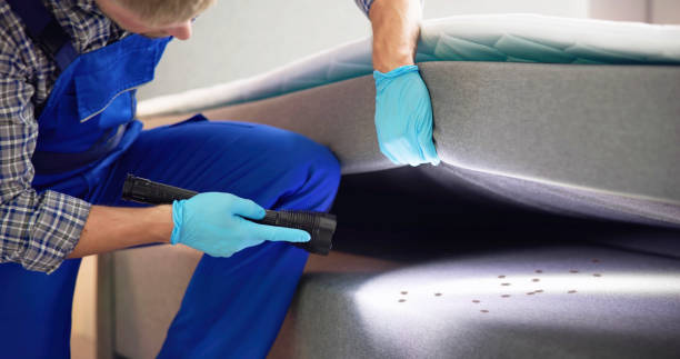 Best Best Pest Control Companies  in Glenwood Springs, CO