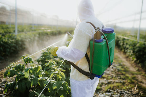Best Best Pest Control Companies  in Glenwood Springs, CO